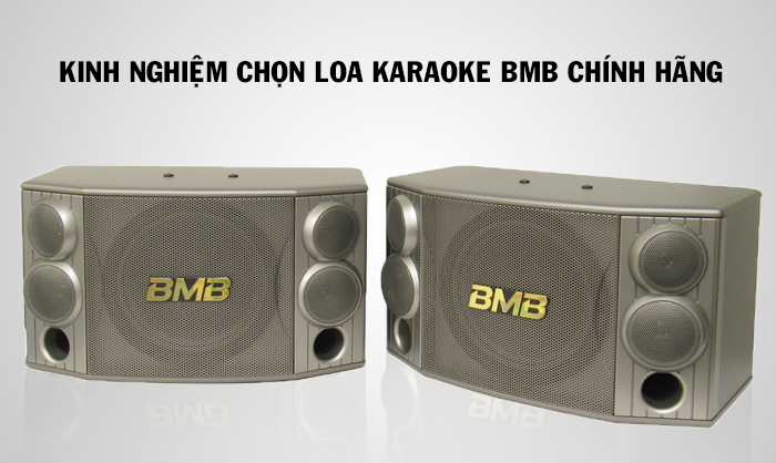 kinh-nghiem-chon-loa-karaoke-bmb-chinh-hang