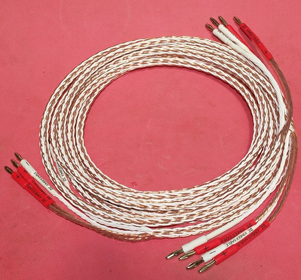 4. Top các dây loa karaoke tốt nhất hiện nay