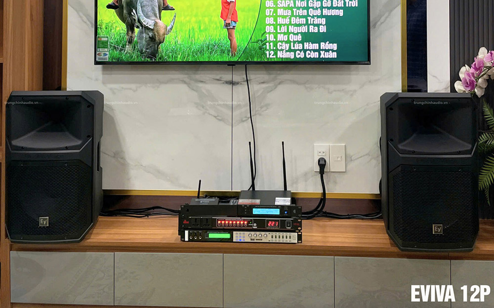 Loa EV EVIVA 12P dàn karaoke gia đình