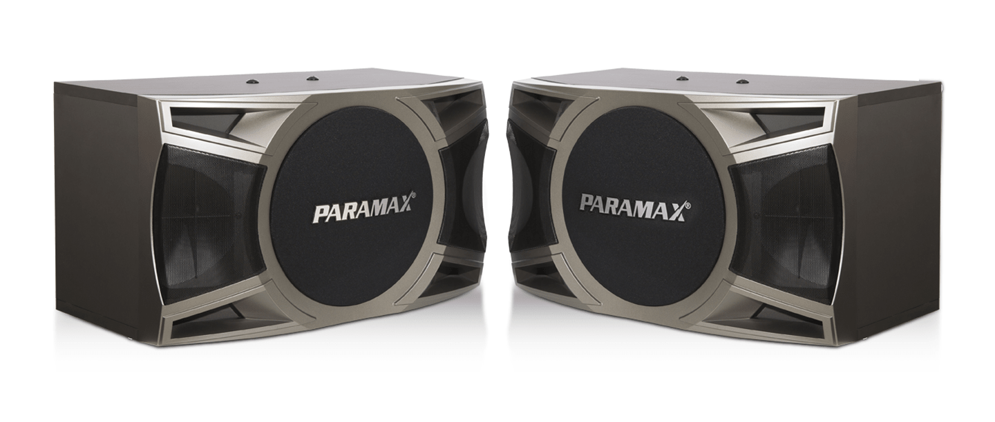 Loa karaoke Paramax D-1000 chính hãng