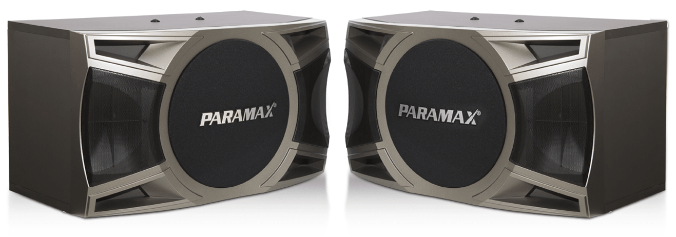 Loa Karaoke Paramax D2000