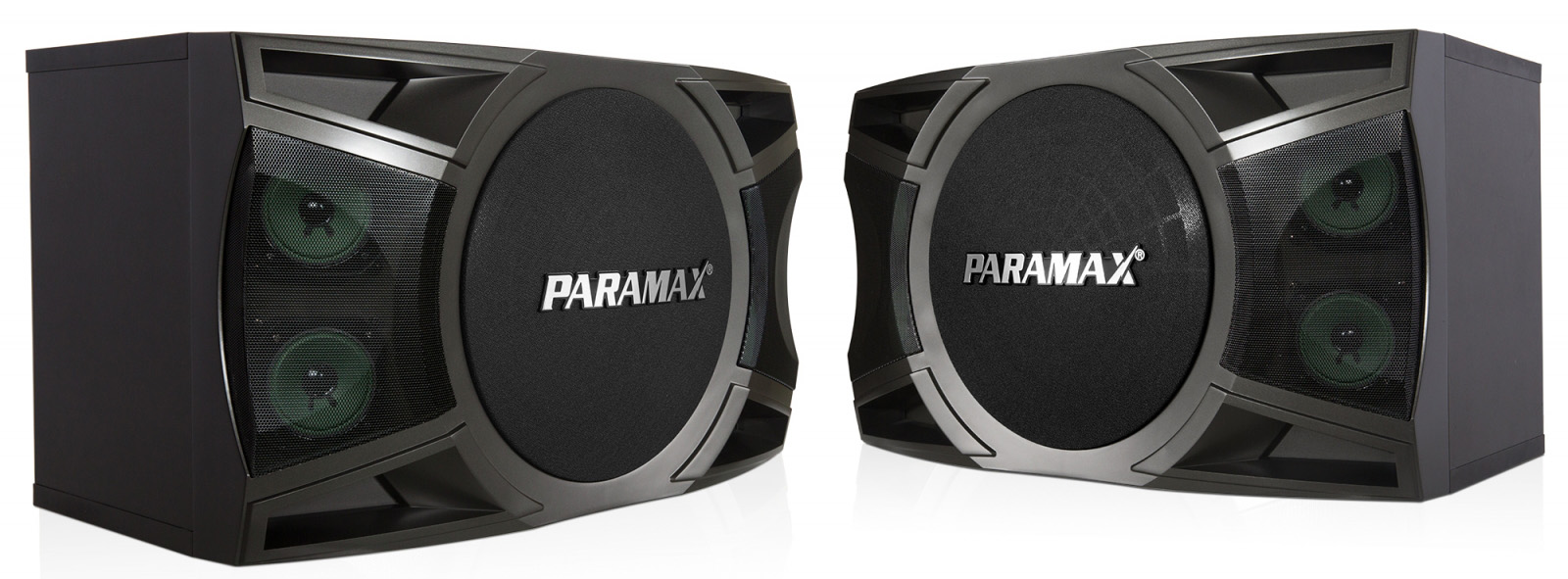 Cách chọn mua loa karaoke Paramax tốt nhất - 2