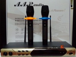 Micro không dây AAP K66 
