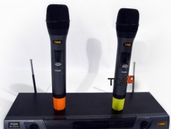 Micro Không dây CAVS PG99S