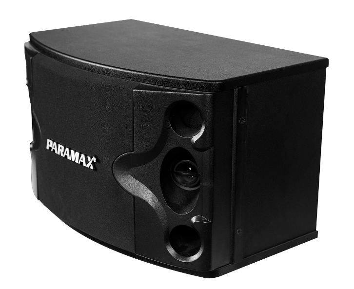 Loa karaoke Paramax P-300