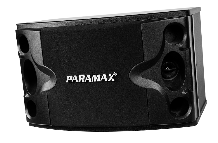 Loa karaoke Paramax P-300 | Loa karaoke chính hãng 