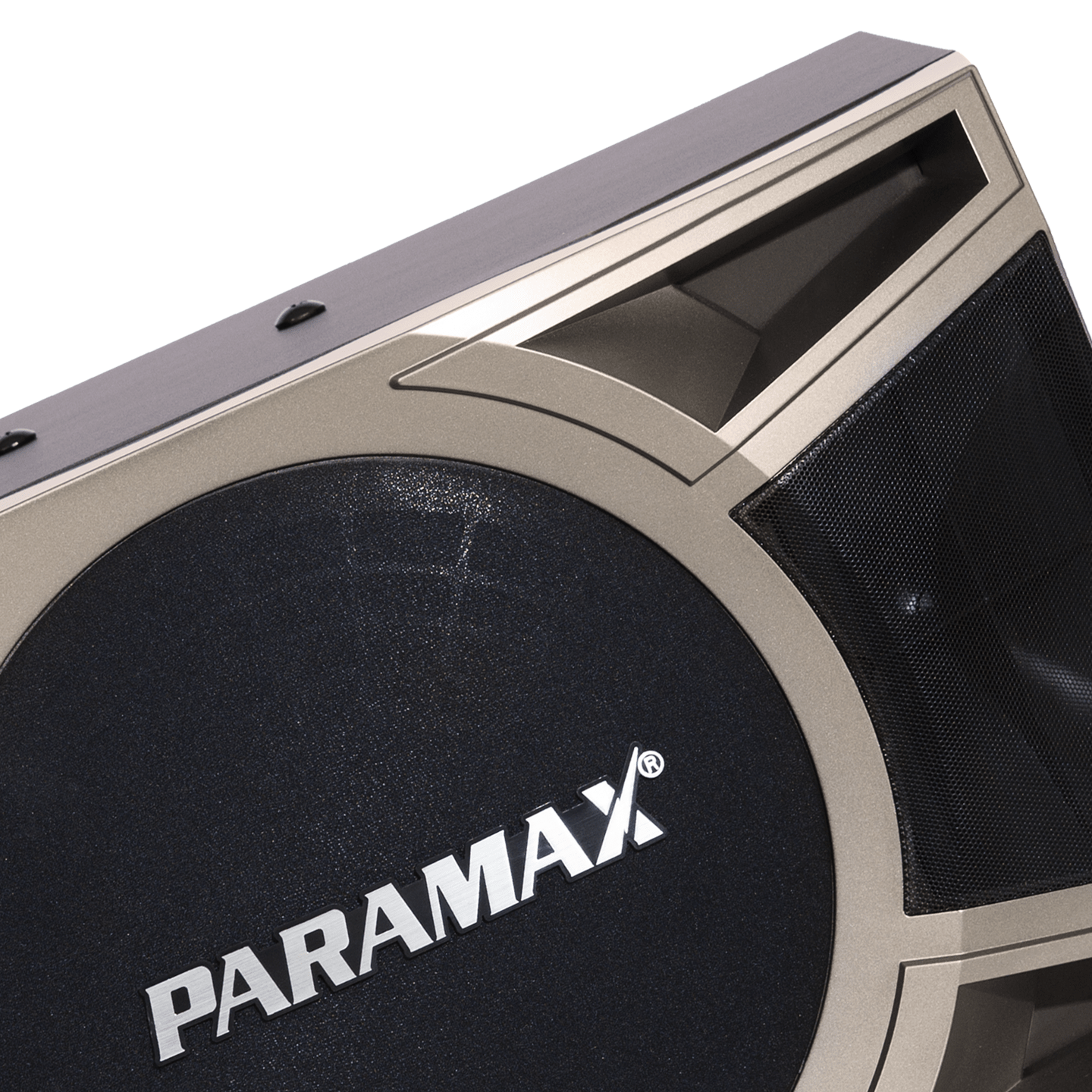 Loa karaoke Paramax D-1000 giá rẻ